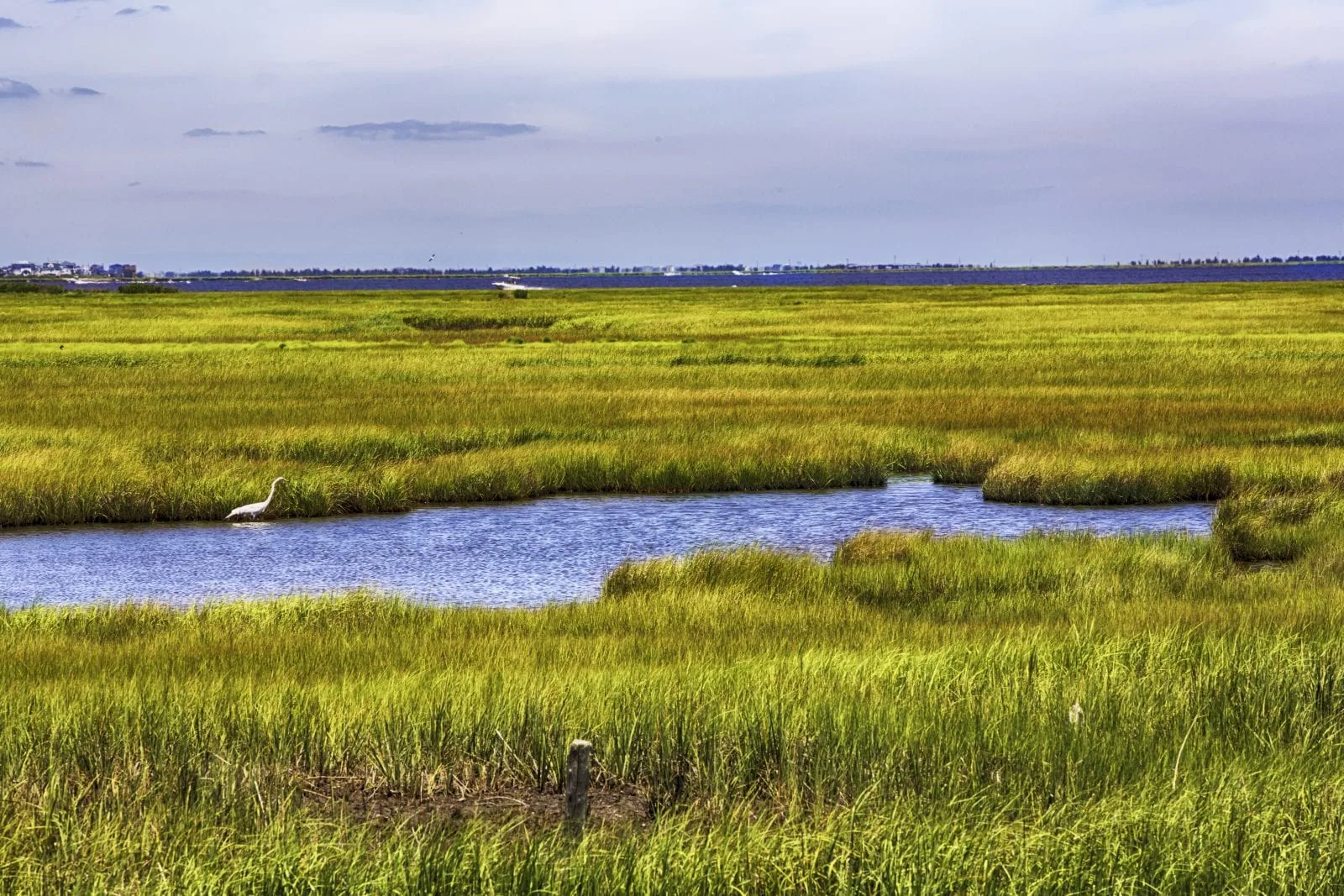 Norfolk